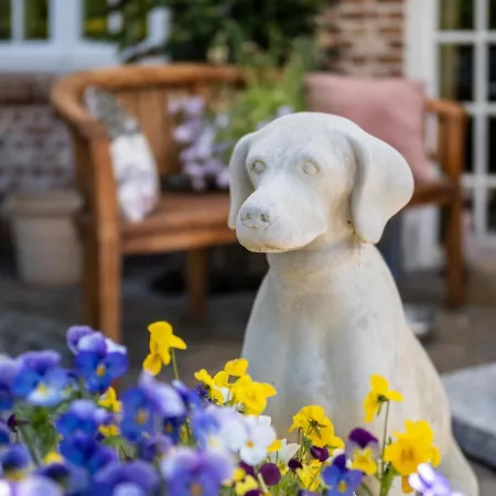 Südwind´s Hummerkoje *