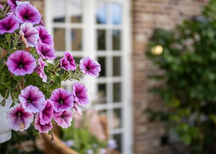 Apartment Südwind´s Hummerkoje